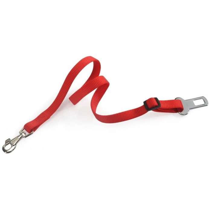 Camon Guinzaglio di Sicurezza in Nylon cm1,5x70 Camon Guinzaglio di Sicurezza in Nylon cm1,5x70